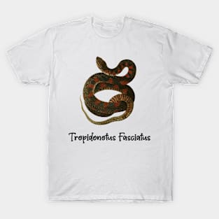 tropidonotus fasciatus (Snake, Reptile) T-Shirt